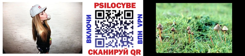 купить закладку  ссылка на мегу ссылка  Галлюциногенные грибы Psilocybe  нарко площадка наркотические препараты  Мамадыш 